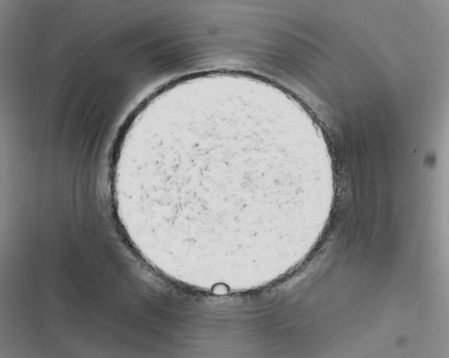 X0000116661118201001251212