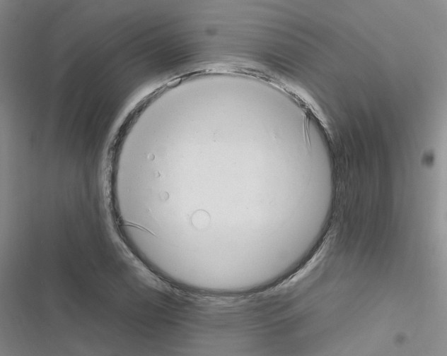 X0000116661122201001251212