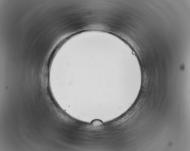 X0000116661123201001251212