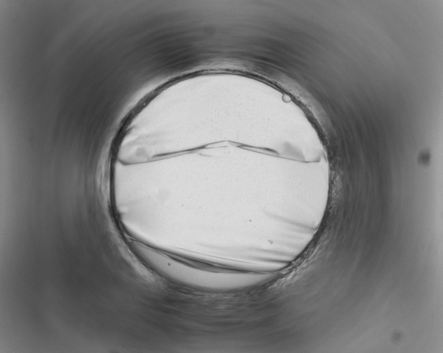 X0000116661127201001251212