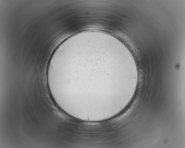 X0000116661129201001251212