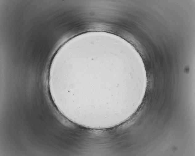 X0000116661130201001251212