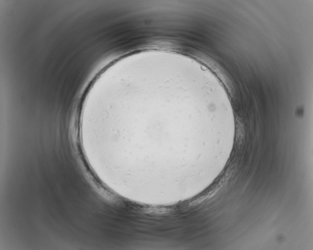 X0000116661131201001251212