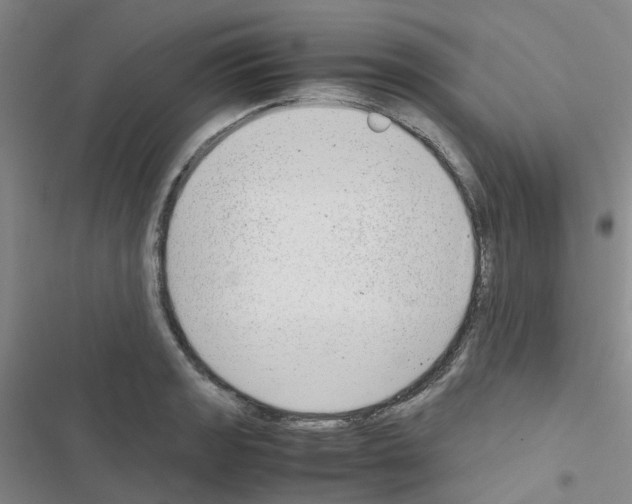 X0000116661133201001251212