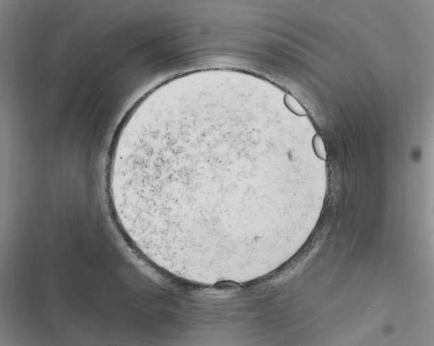 X0000116661134201001251212