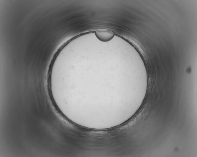 X0000116661135201001251212