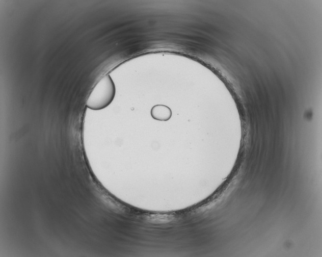 X0000116661137201001251212