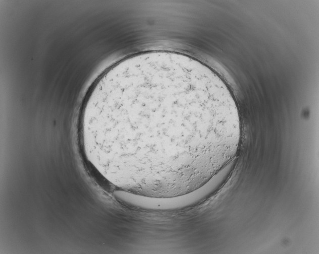 X0000116661138201001251212