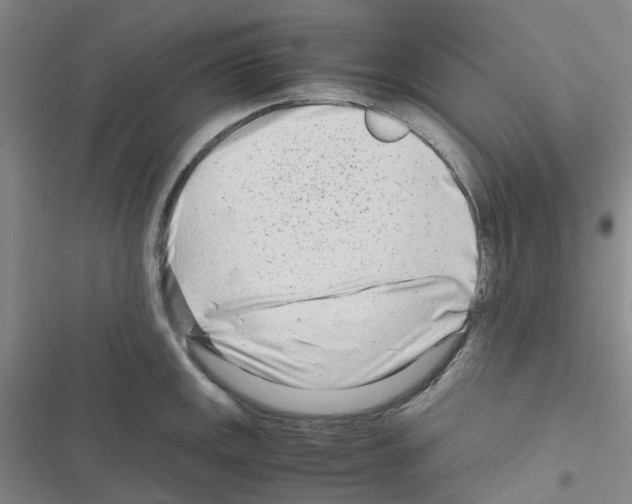 X0000116661141201001251212