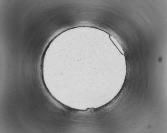 X0000116661142201001251212