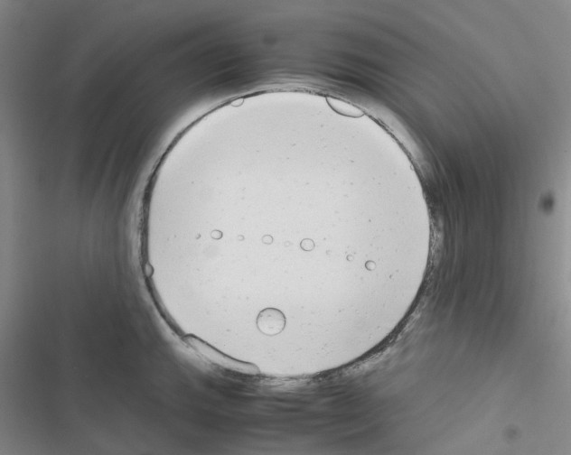 X0000116661143201001251212