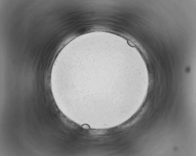 X0000116661145201001251212