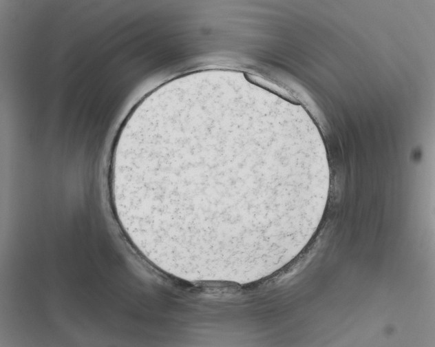 X0000116661146201001251212
