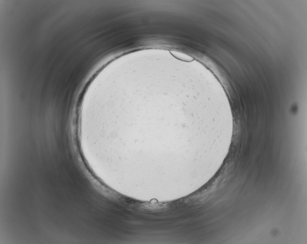 X0000116661147201001251212