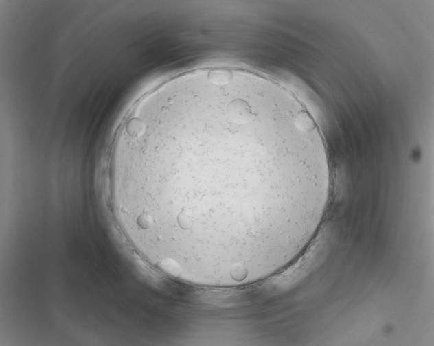 X0000116661150201001251212