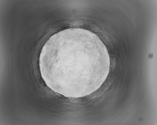 X0000116661153201001251212