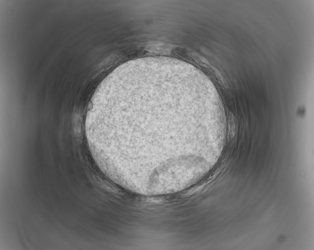 X0000116661154201001251212