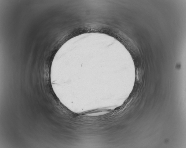 X0000116661155201001251212