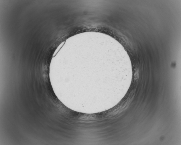 X0000116661156201001251212