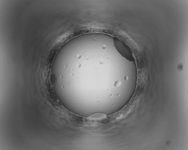 X0000116661157201001251212