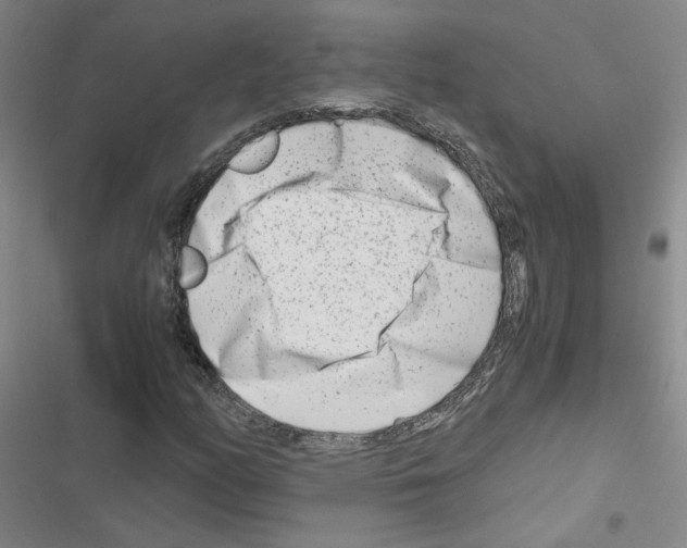 X0000116661158201001251212