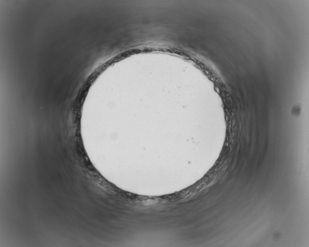 X0000116661160201001251212