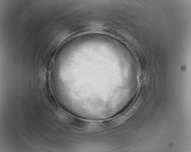 X0000116661161201001251212