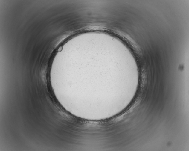 X0000116661162201001251212