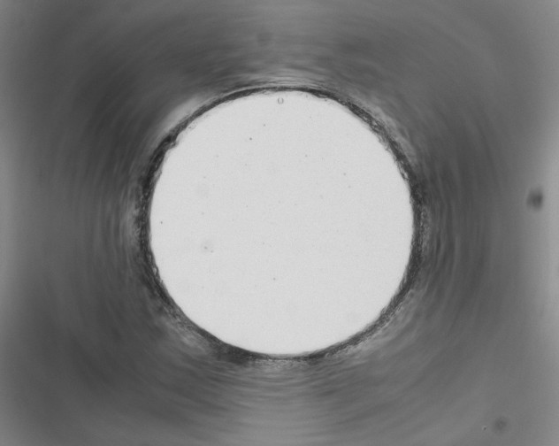 X0000116661163201001251212