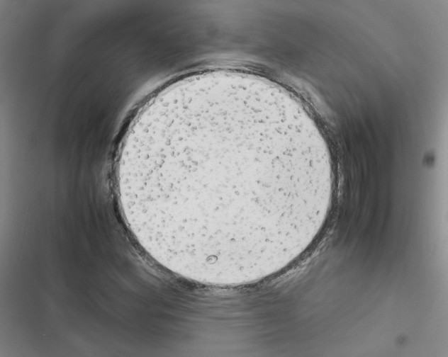 X0000116661164201001251212