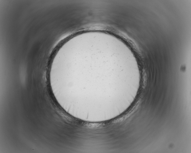 X0000116661166201001251212
