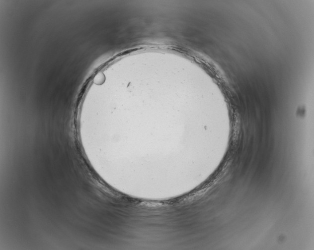X0000116661168201001251211