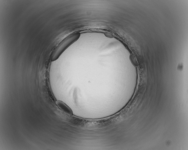 X0000116661169201001251211