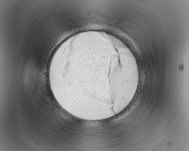 X0000116661170201001251211