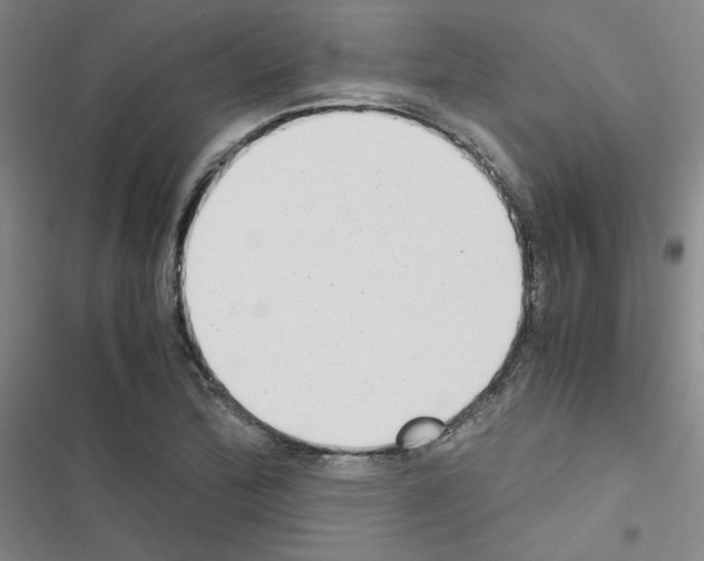 X0000116661172201001251211