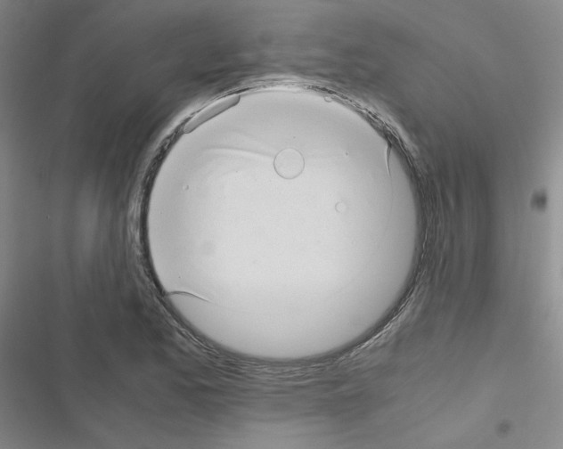 X0000116661173201001251211