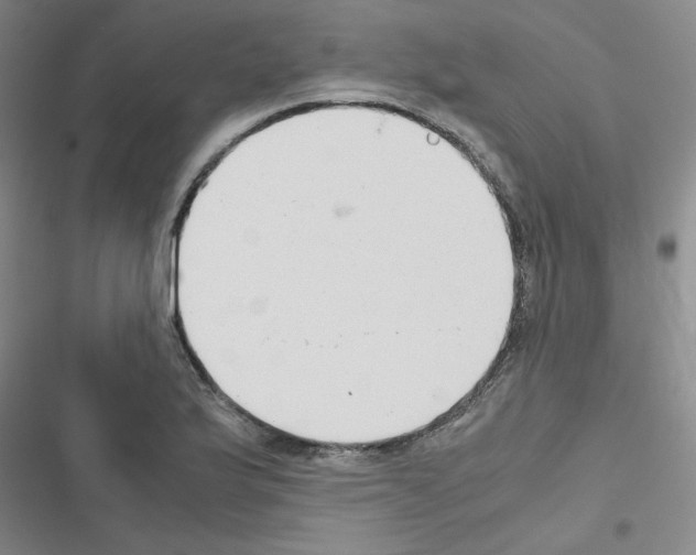 X0000116661175201001251211