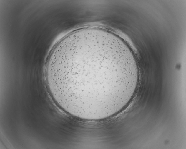 X0000116661176201001251211