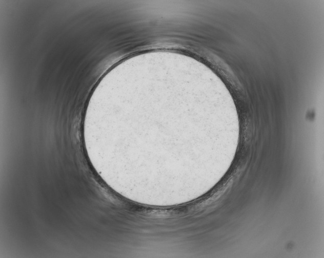 X0000116661177201001251211