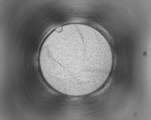 X0000116661178201001251211