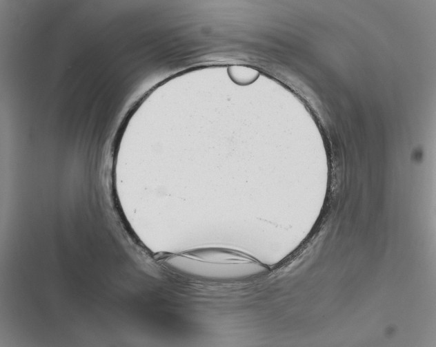 X0000116661179201001251211