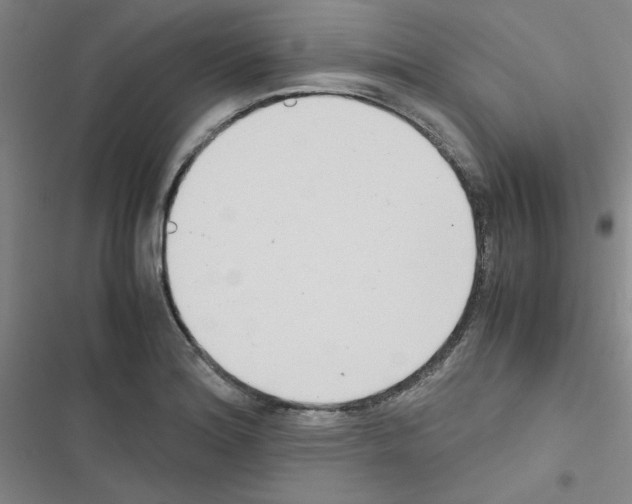 X0000116661180201001251211