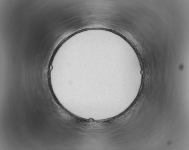 X0000116661181201001251211