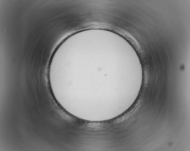 X0000116661182201001251211