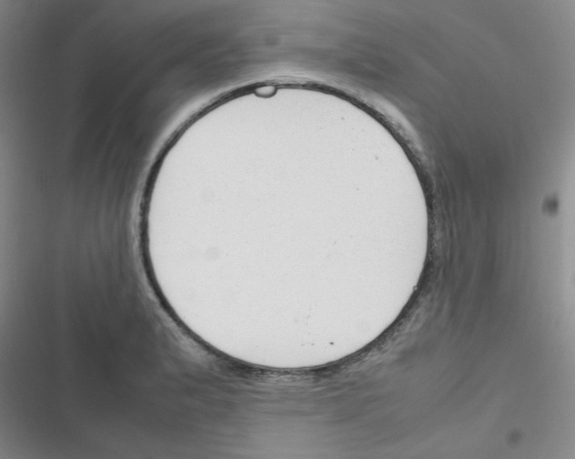 X0000116661183201001251211