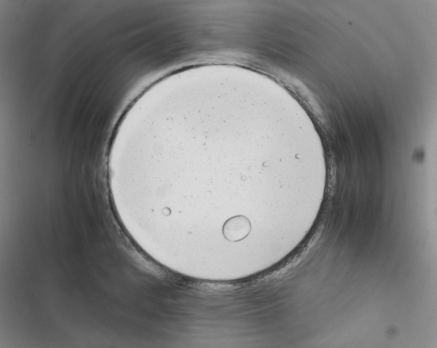 X0000116661184201001251211