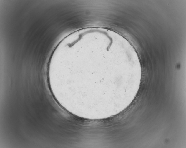 X0000116661187201001251211
