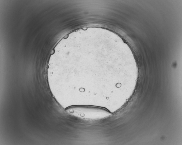 X0000116661193201001251211