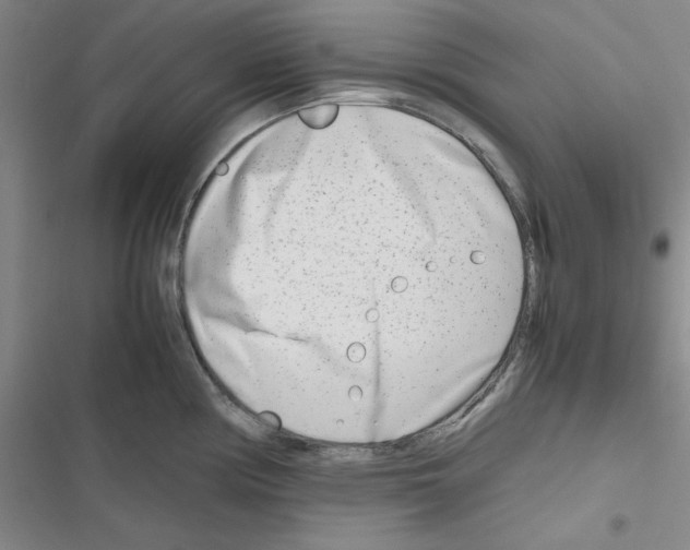 X0000116661194201001251211