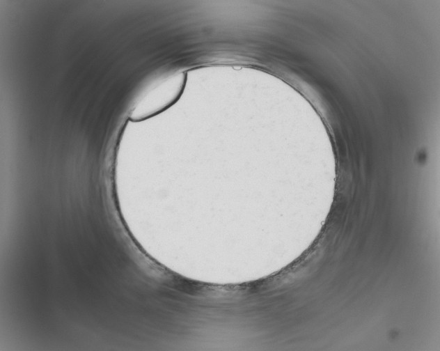 X0000116661195201001251211